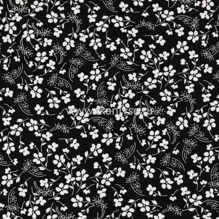 20240424-IMG_7139(1)_compressed