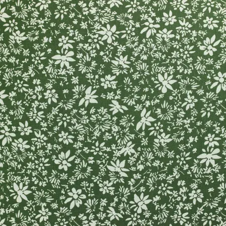 20240619-IMG_7936(1)_compressed