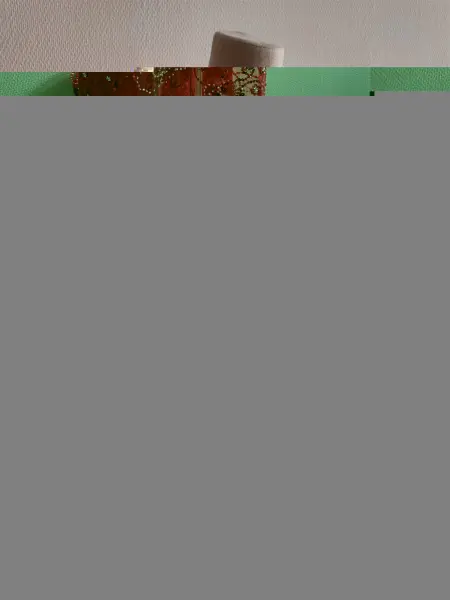 20231116-IMG_20231116_110847_compressed