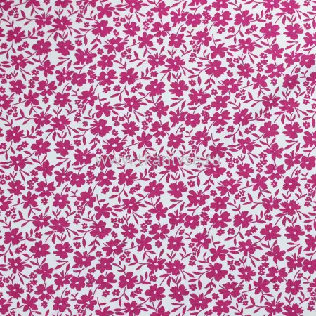 20240611-IMG_7780(1)_compressed