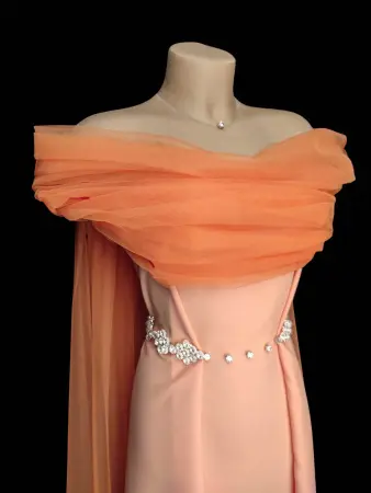 20250124-Photoroom-20250123_231139_compressed