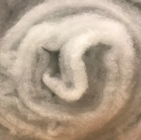 IMG_1707