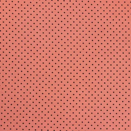 20240624-IMG_8052(1)