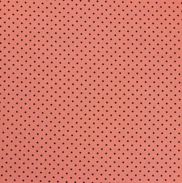 20240624-IMG_8052(1)