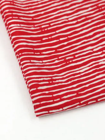 20250530-20250530-IMG_1850