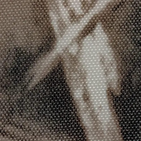 20230615-IMG_0991(1)_compressed