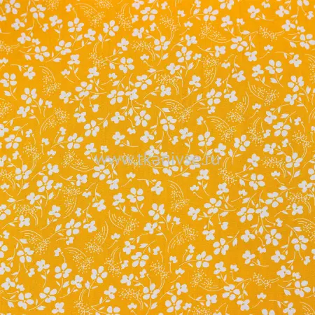 20240424-IMG_7100(1)_compressed