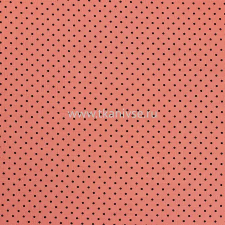 20240624-IMG_8052(1)