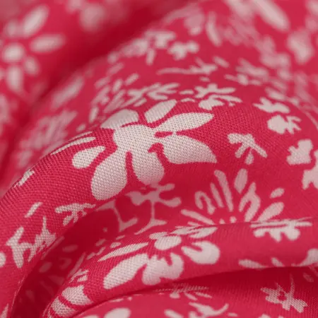 20240619-IMG_7904(1)_compressed