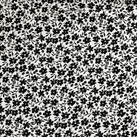 20240611-IMG_7768(1)_compressed