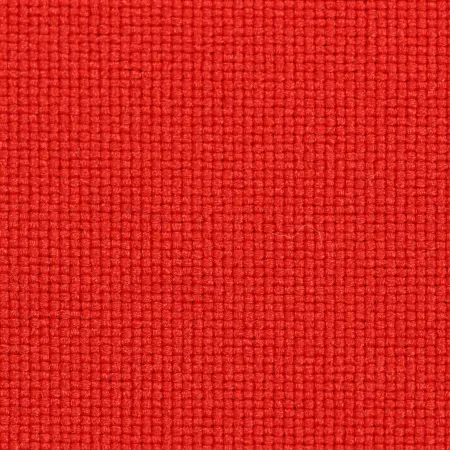 20240725-IMG_8258(1)