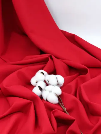 20250212-IMG_0355_compressed