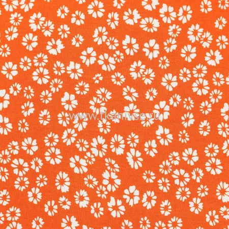 20240627-IMG_8092(1)