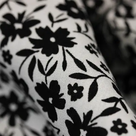 20240611-IMG_7777(1)_compressed