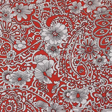 20240513-IMG_7329(1)_compressed