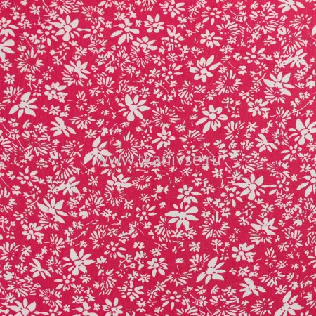 20240619-IMG_7897(1)_compressed