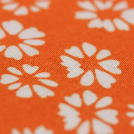 20240627-IMG_8094(1)