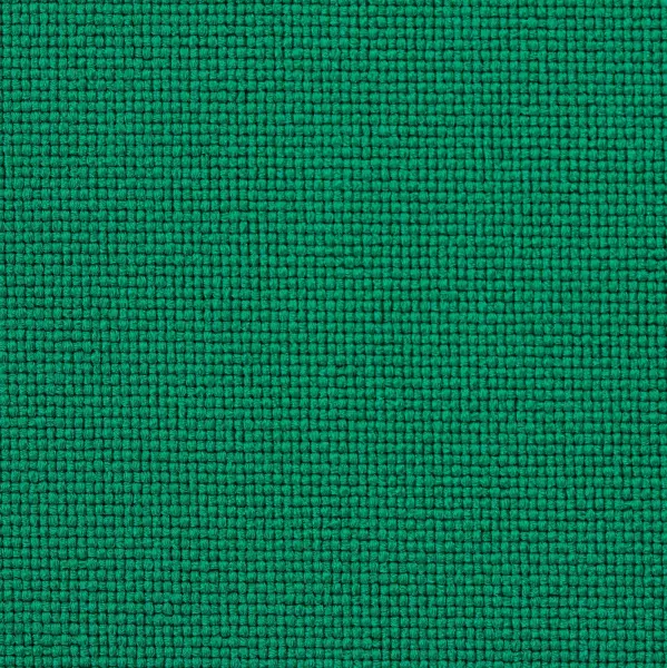 20240821-IMG_8408(1)_compressed