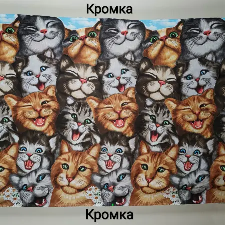 20240216-IMG_20240216_172831_compressed