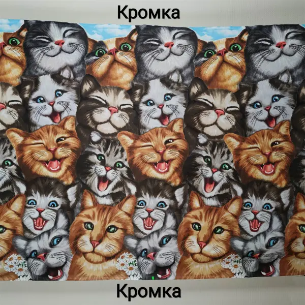 20240216-IMG_20240216_172831_compressed