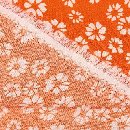 20240627-IMG_8095(1)