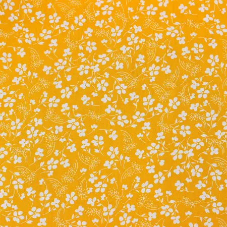 20240424-IMG_7100(1)_compressed